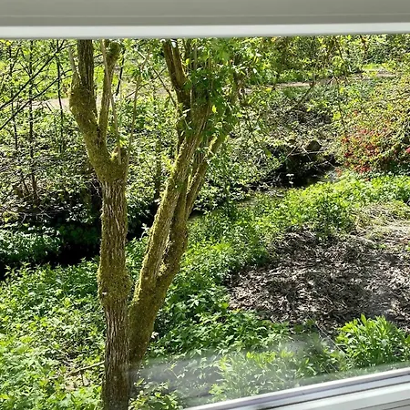 Sonniges, Freistehendes Ferienhaus Im Suedschwarzwald - Fuer Dich Ganz Allein *